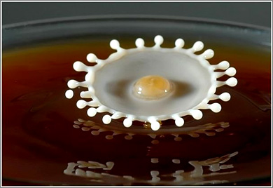 ghicitoare